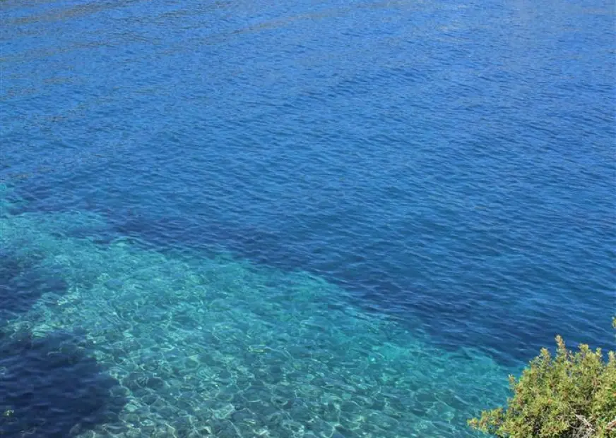 Paxos